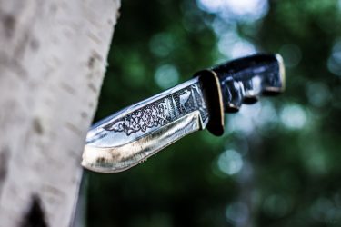סכין נגד סכין – הגנות פנימיות
